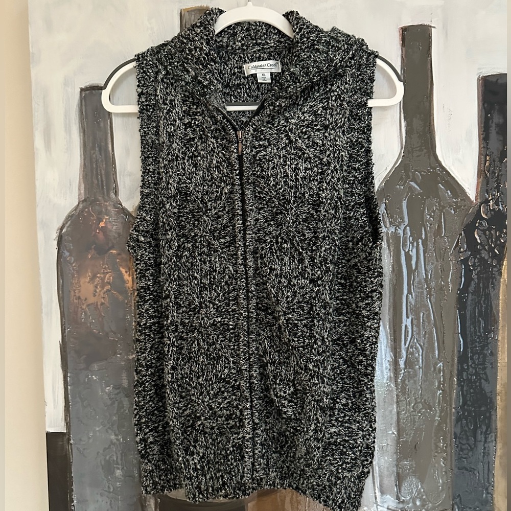 Coldwater Creek sweater with hood!